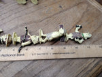 Vtg 8 Piece Flintstones Hand Painted Figures Hanna Barbara Productions 2+ Inches