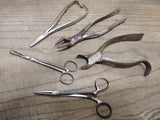 Vtg 5 Pc Antique Dentist Physicians Surgical Tools Lot E M Hessler Betz Germany