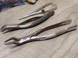 Vtg 5 Pc Antique Dentist Physicians Surgical Tools Lot E M Hessler Betz Germany