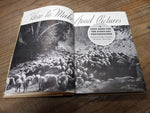VTG Eastman Kodak Co How To Make Good Pictures Photography Hardback Text Book