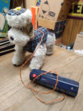 Vtg NOS Cragstan Princess French Poodle Battery Powered Remote Japan Works Great