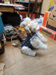 Vtg NOS Cragstan Princess French Poodle Battery Powered Remote Japan Works Great