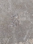 Vtg 8 Point Buck on Indian Arrow Head Brass Belt Buckle 2.25"