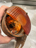 Taillight Assy Harley Sprint Aermacchi Vtg Rapido Baja SX