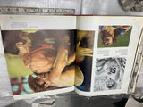 Hardback Book Best of Life Magazine Articles Pictures History Music News Hollywo