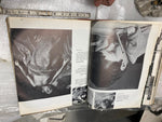 Hardback Book Best of Life Magazine Articles Pictures History Music News Hollywo