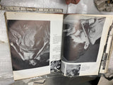 Hardback Book Best of Life Magazine Articles Pictures History Music News Hollywo