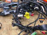 New Main Wiring Harness Harley Bagger FLH ultra Classic Glide 2021 69202185 OEM