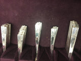 RARE Caprice Nobility Plate Club Silverware set antique members book box posters