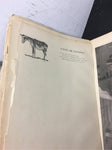 Vintage 1904 Done In The Open Drawings by Frederic Remington Antique Art images
