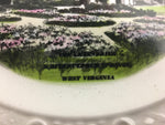 Vintage collector plates Hand painted art Green brier Scottyland USA home décor