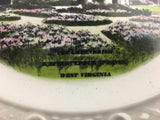 Vintage collector plates Hand painted art Green brier Scottyland USA home décor