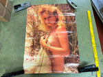 VTG 1986 Becky Wasson Bikini Woman in Grass Prairie 27.5X20 Poster Man Cave