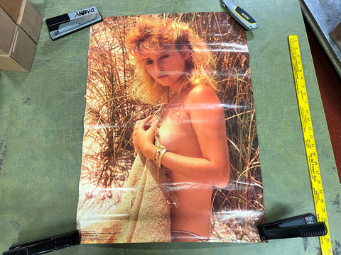 VTG 1986 Becky Wasson Bikini Woman in Grass Prairie 27.5X20 Poster Man Cave