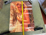 VTG 1986 Becky Wasson Bikini Woman in Grass Prairie 27.5X20 Poster Man Cave