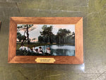 VTG Antique Early 1900s Lot of 4 Pennsylvania Postcards Mixed Topics Springtime