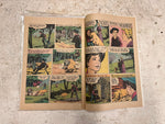 vtg 1975 Walt Disney Showcase #25 old yeller Whitman comics
