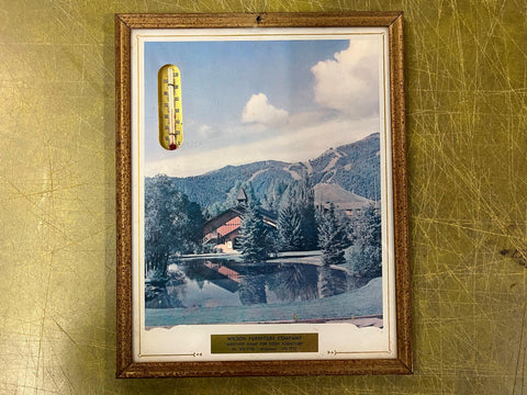 VTG Antique Wilson Furniture Company Framed Thermometer Picture