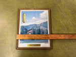 VTG Antique Wilson Furniture Company Framed Thermometer Picture