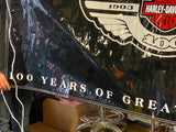 100th Anniversary OEM Dealer Banner 2002 Harley Showroom Mancave collectible!